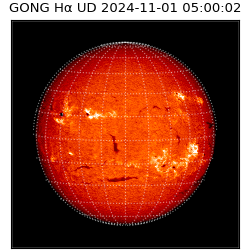 gong - 2024-11-01T05:00:02