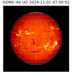 gong - 2024-11-01T07:00:02