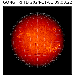 gong - 2024-11-01T09:00:22