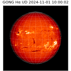 gong - 2024-11-01T10:00:02