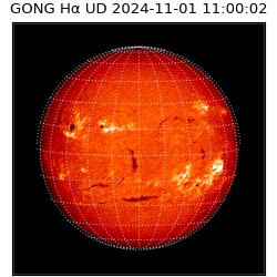 gong - 2024-11-01T11:00:02