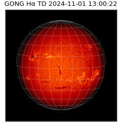 gong - 2024-11-01T13:00:22