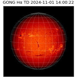 gong - 2024-11-01T14:00:22