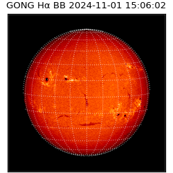gong - 2024-11-01T15:06:02