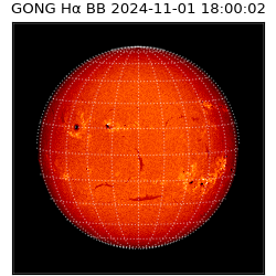 gong - 2024-11-01T18:00:02