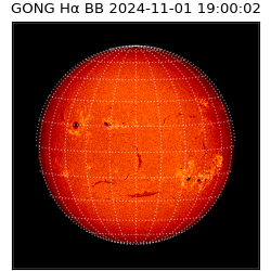 gong - 2024-11-01T19:00:02