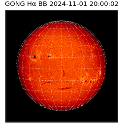 gong - 2024-11-01T20:00:02