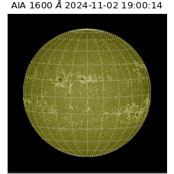 saia - 2024-11-02T19:00:14.132000