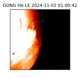 gong - 2024-11-02T01:00:42