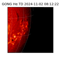 gong - 2024-11-02T08:12:22