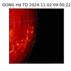 gong - 2024-11-02T09:00:22