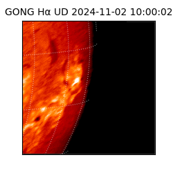 gong - 2024-11-02T10:00:02