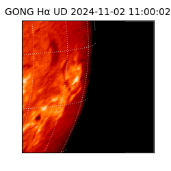 gong - 2024-11-02T11:00:02