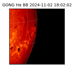 gong - 2024-11-02T18:02:02