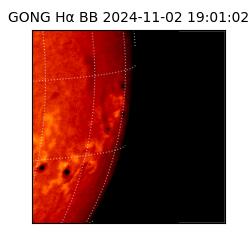 gong - 2024-11-02T19:01:02