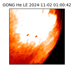 gong - 2024-11-02T01:00:42