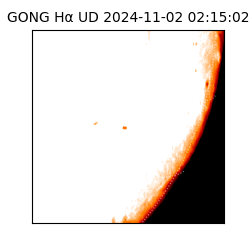 gong - 2024-11-02T02:15:02