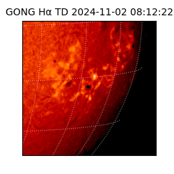 gong - 2024-11-02T08:12:22