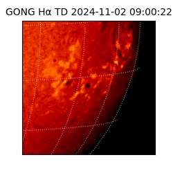 gong - 2024-11-02T09:00:22