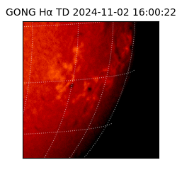 gong - 2024-11-02T16:00:22