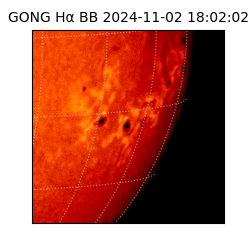 gong - 2024-11-02T18:02:02