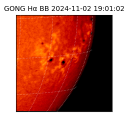 gong - 2024-11-02T19:01:02