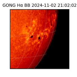 gong - 2024-11-02T21:02:02