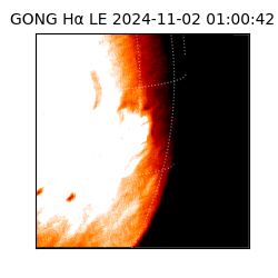 gong - 2024-11-02T01:00:42