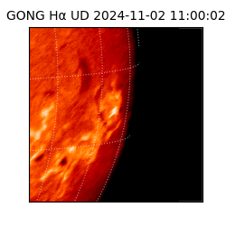 gong - 2024-11-02T11:00:02