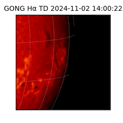 gong - 2024-11-02T14:00:22