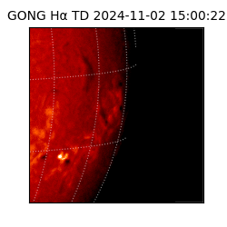 gong - 2024-11-02T15:00:22