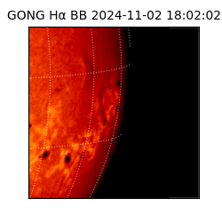 gong - 2024-11-02T18:02:02