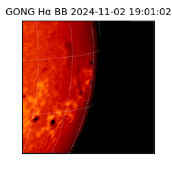 gong - 2024-11-02T19:01:02