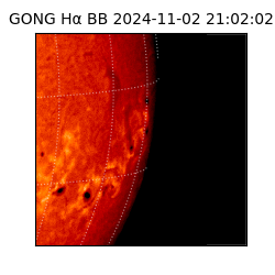 gong - 2024-11-02T21:02:02