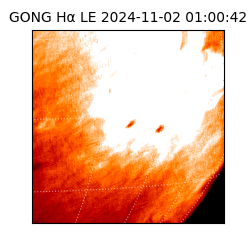 gong - 2024-11-02T01:00:42