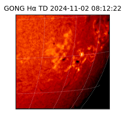 gong - 2024-11-02T08:12:22