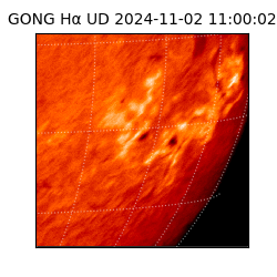 gong - 2024-11-02T11:00:02