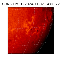 gong - 2024-11-02T14:00:22