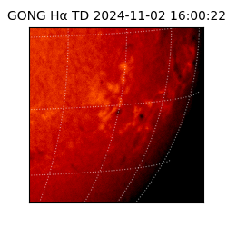 gong - 2024-11-02T16:00:22