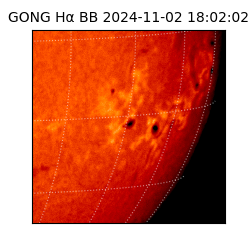 gong - 2024-11-02T18:02:02