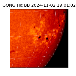 gong - 2024-11-02T19:01:02