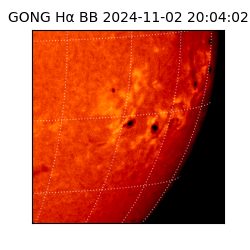 gong - 2024-11-02T20:04:02