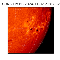 gong - 2024-11-02T21:02:02
