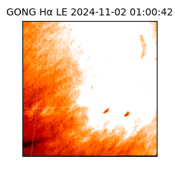 gong - 2024-11-02T01:00:42