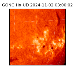 gong - 2024-11-02T03:00:02