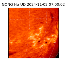 gong - 2024-11-02T07:00:02