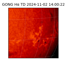 gong - 2024-11-02T14:00:22