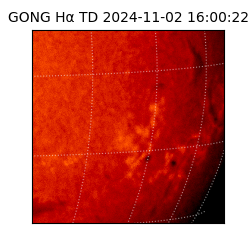 gong - 2024-11-02T16:00:22