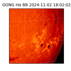 gong - 2024-11-02T18:02:02