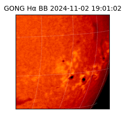 gong - 2024-11-02T19:01:02